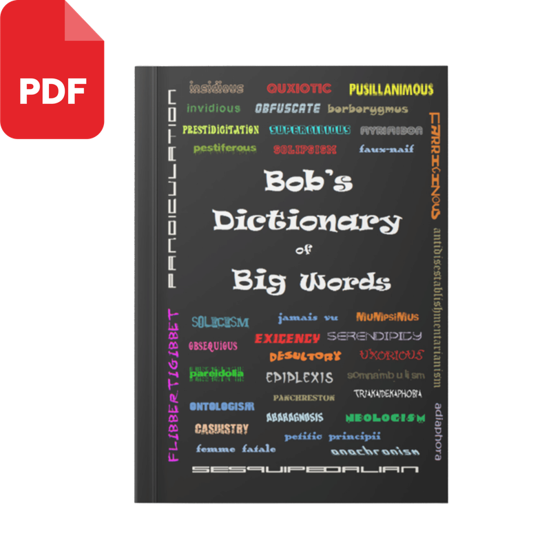 Bob's Dictionary of Big Words