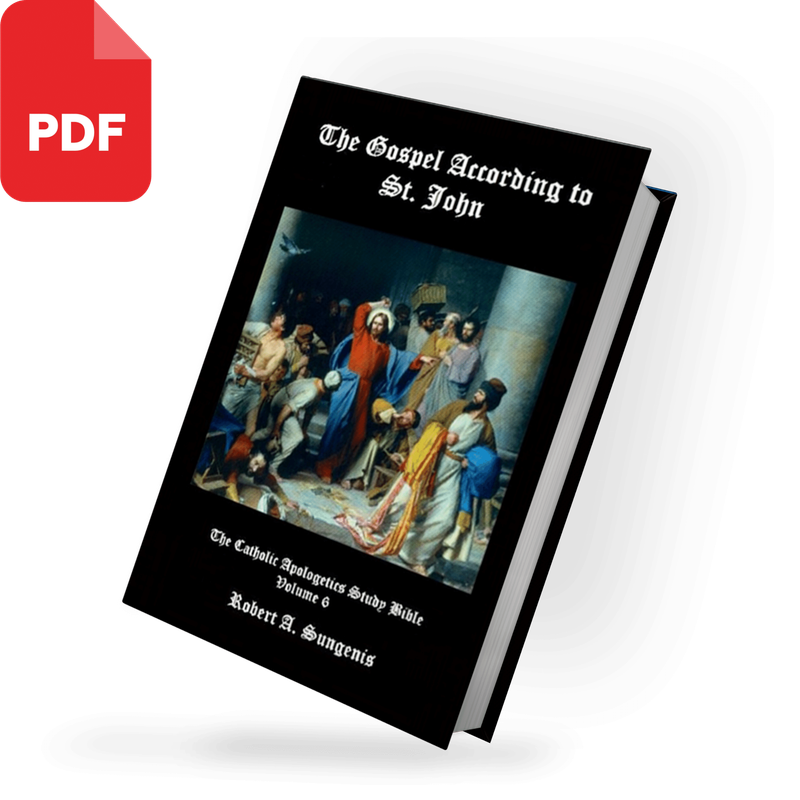 CASB 6: The Gospel of St. John