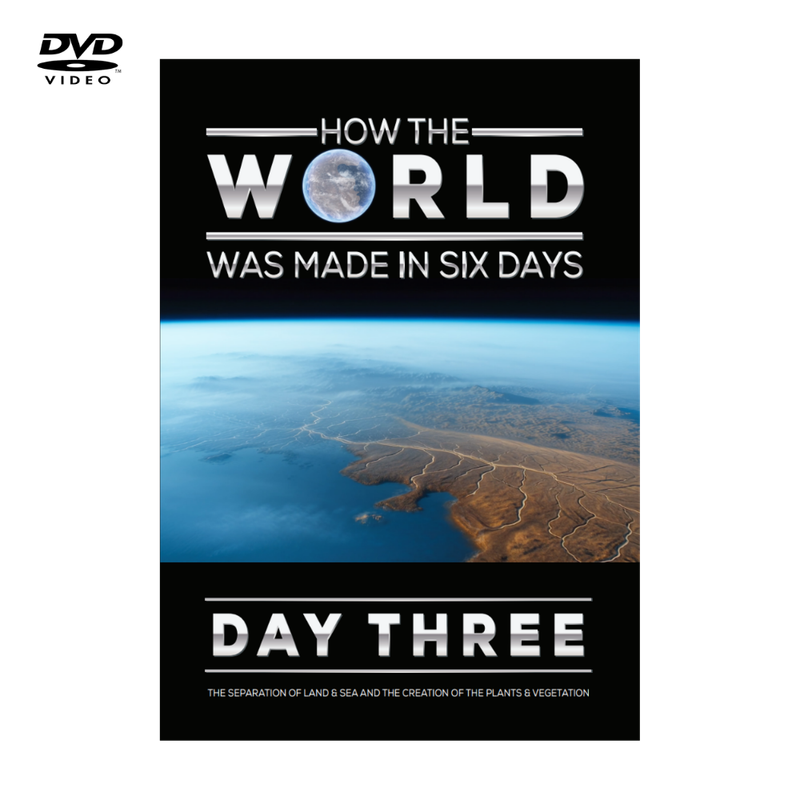 HOW THE WORLD WAS MADE IN SIX DAYS: Day 3