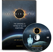 The Principle: DVD