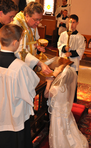 How to Get Your Kids Excited About Mass - Robert Sungenis Speaks at the NACHE Conference