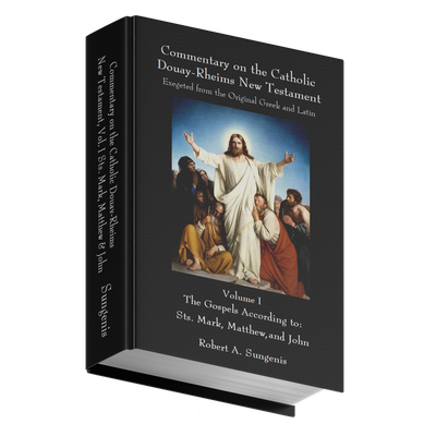 Cover of Commentary on the Catholic Douay-Rheims New Testament